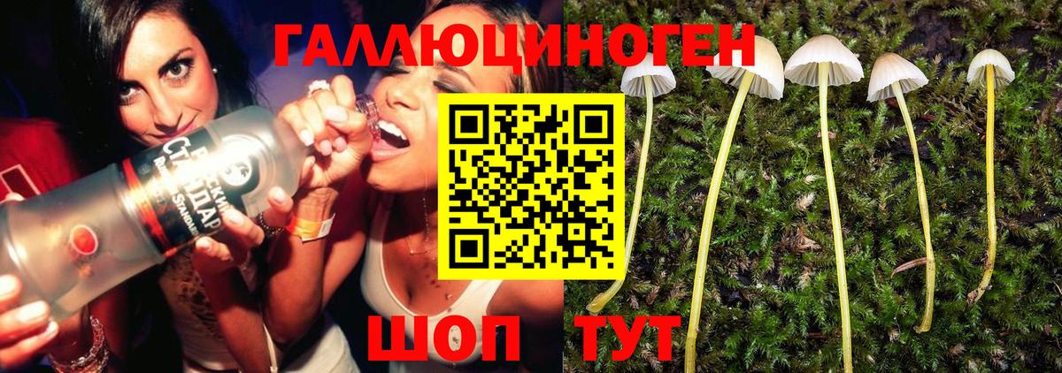 Псилоцибиновые грибы Psilocybe  Вход с VPN  где купить наркотик  Балашиха 