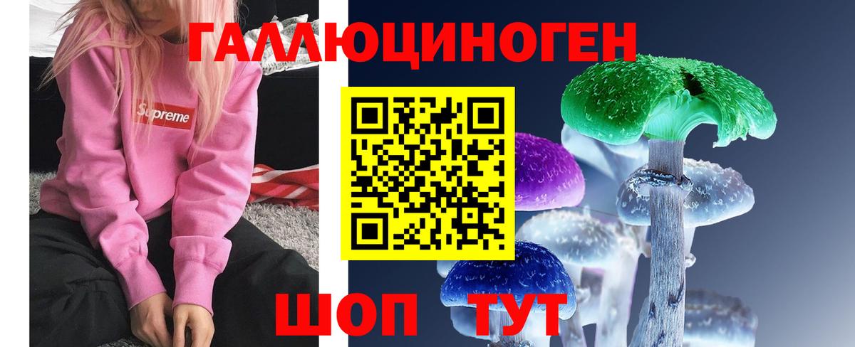 Галлюциногенные грибы Cubensis Балашиха